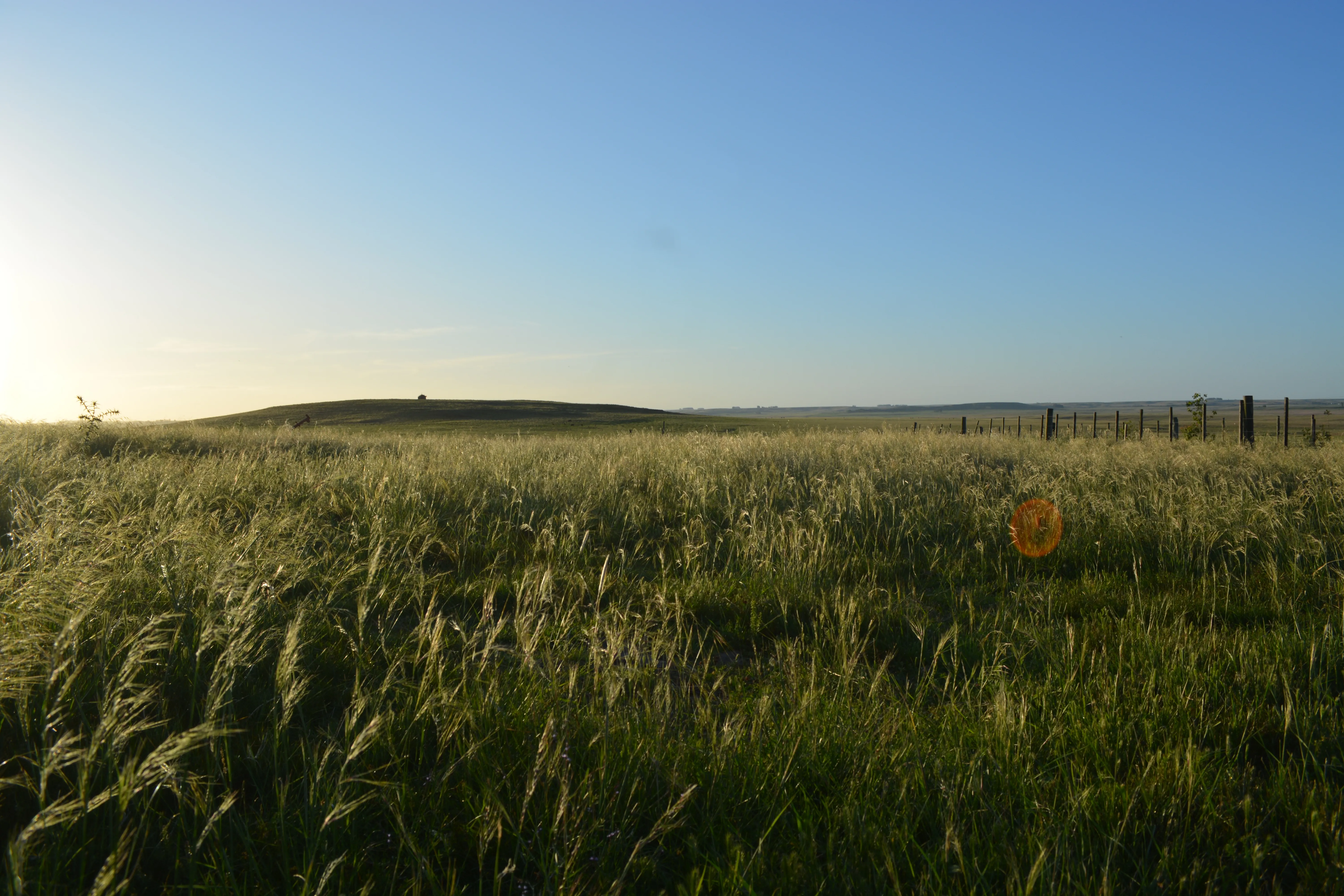 Paisaje rural uruguayo